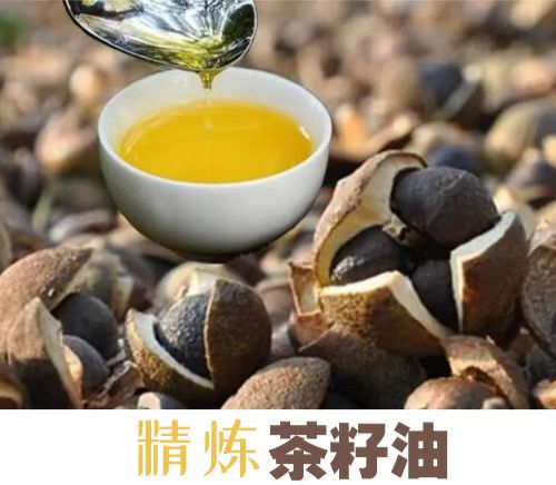 茶籽油精煉4008云顶网站登录